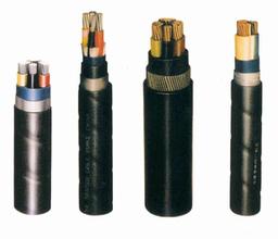 聚錄乙烯控制電纜