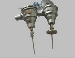 高溫防爆防腐熱電阻 WZPF-140