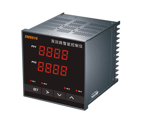 智能雙回路測控儀